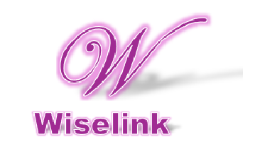 Wiselink Logo